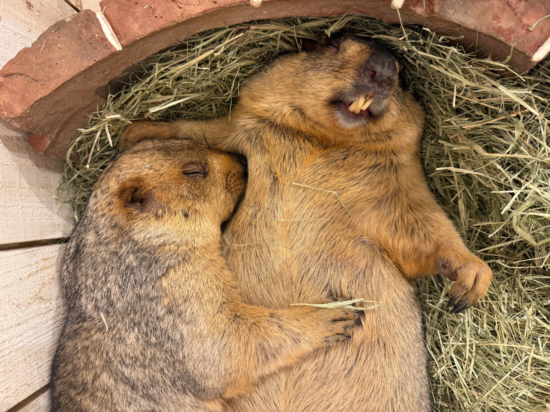 食の聖地「VISON」で一流シェフの情熱に触れ、料理人の世界を知る