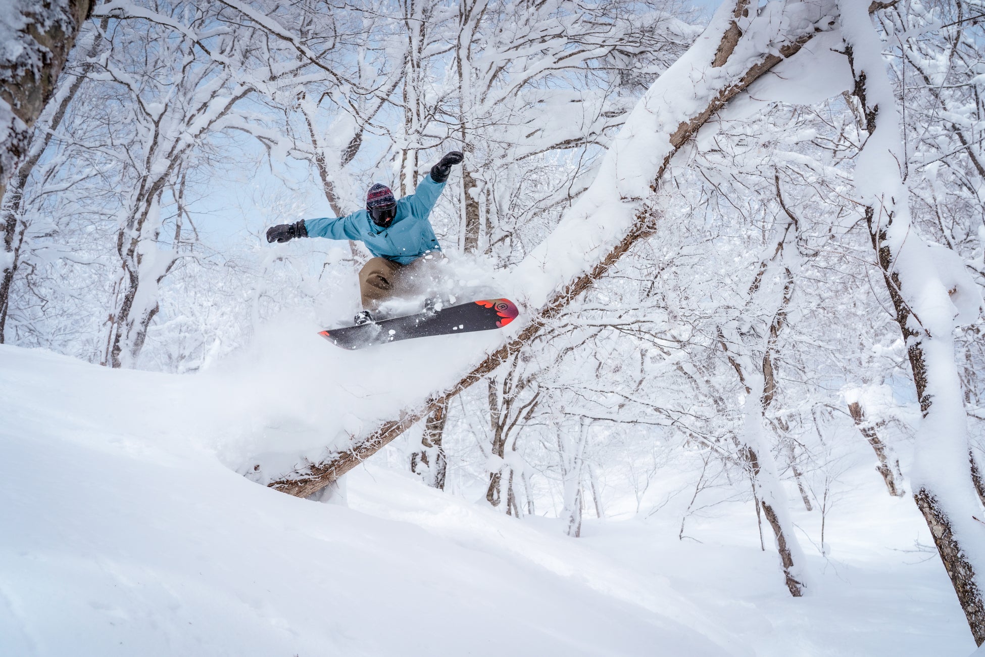 【東京ドームホテル】過去最大級イルミネーションと連動！窓一面が輝く夜景確約ステイ＆“スノードーム”をイメージした限定20台の純白ケーキが登場