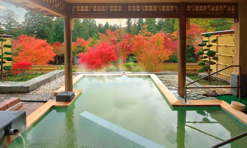 【ネコマ マウンテン】25-26シーズンは新たに東京ドーム4個分のツリーランゾーンがオープン!滑りの選択肢と滞在の楽しみがさらに広がる