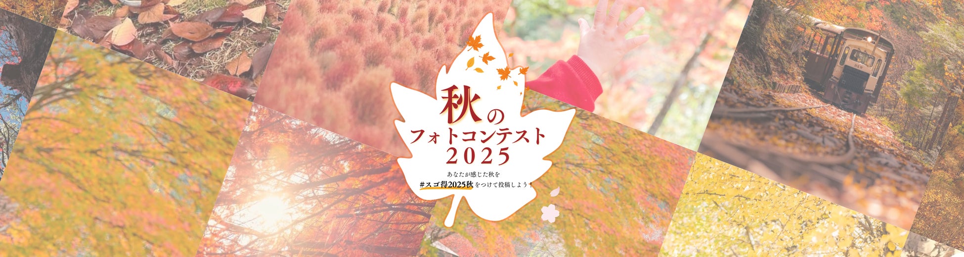 「バンヤンツリー・東山 京都」「シックスセンシズ 京都」「ギャリア・二条城 京都」が1ミシュランキーを受賞
