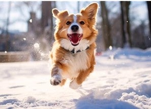 スーパーホテル、宿泊に伴うCO2排出を実質ゼロにする「CO2実質ゼロ泊」で「第3回サステナブル★セレクションEXPO 2025 in東京」に初出展