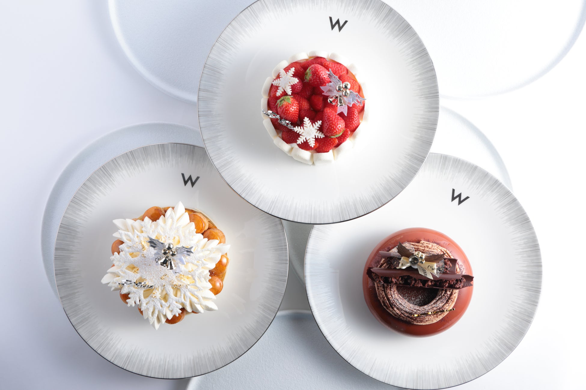 【新クルーズ発表】2028年12月出航 ピースボート世界一周クルーズ 神秘の南極、熱狂のリオ、そして生命力あふれるアフリカへ