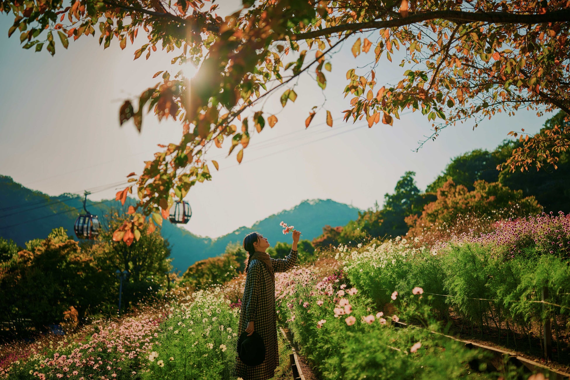 10/25㊏・10/26㊐松花堂ウォークPLUS開催！