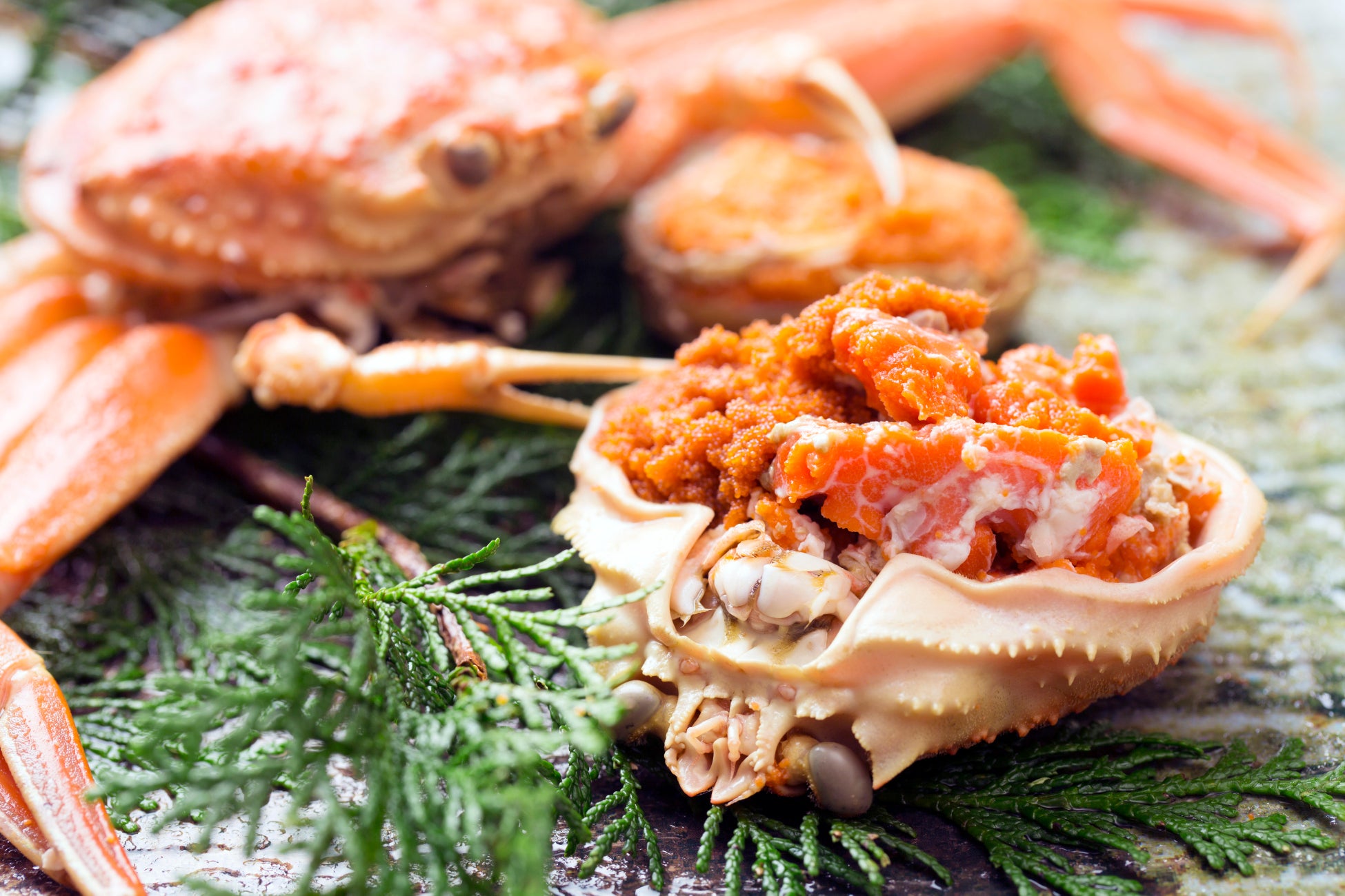 【300枚限定】11月は大牟田地区の西鉄路線バスが１日100円で乗り放題！