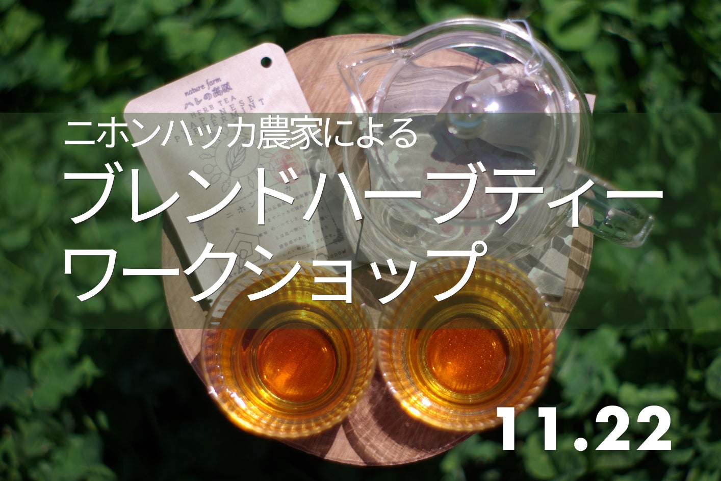 【広島／世羅】ニホンハッカ農家によるブレンドハーブティーワークショップ《森と花の絵本ミュージアムGarden Lei》