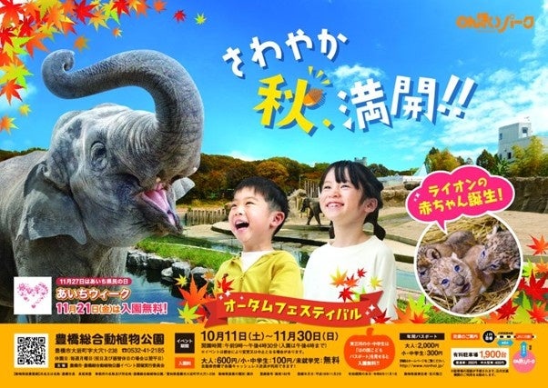 【豊橋市】ライオンの赤ちゃんにも会える！　 のんほいパークでオータムフェスティバル開催中