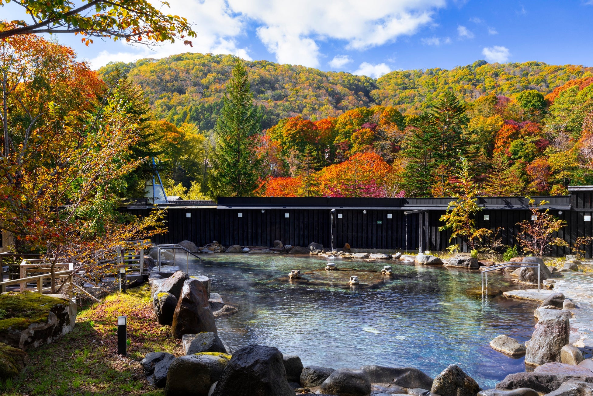 【鴨川シーワールド】『海の生き物 公開体重測定』開催