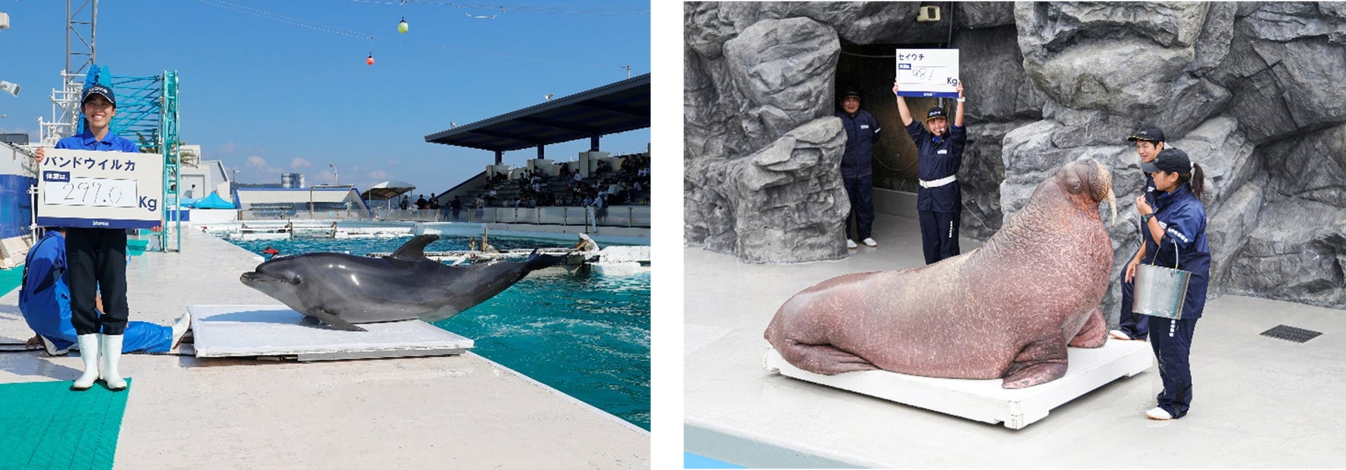 【JWマリオット・ホテル奈良】ミシュランガイドのホテル版「ミシュランキーホテル」において2年連続で「1ミシュランキー」を受賞