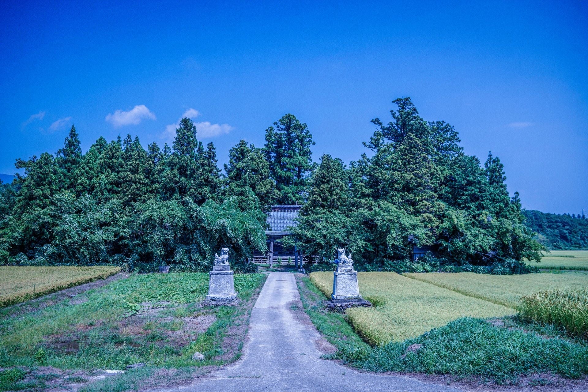 地域の笑顔と⽂化をつなぐ 2 ⽇間 『味真野 お寺びらき』開催決定! 〜お寺のまち・味真野で⼼がちょっと軽くなる⾮⽇常を体験しよう〜