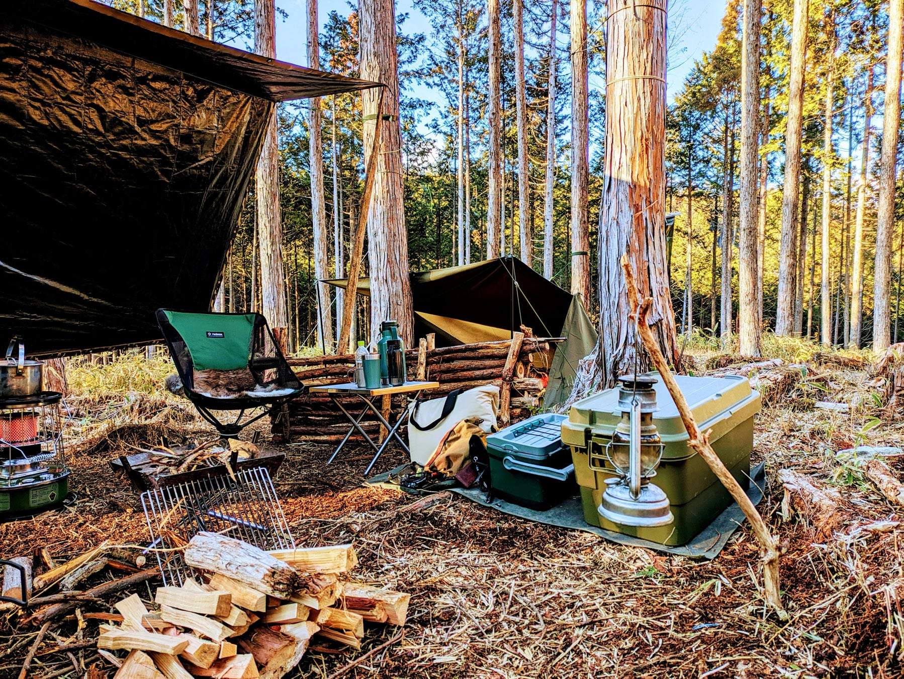 いちごの甘い香りと上質な味わい ホテル金沢が贈る「クリスマスケーキコレクション2025」11月1日(土)より予約受付開始