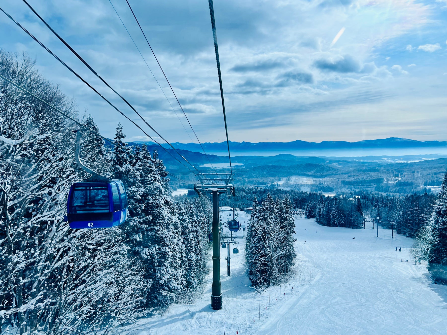 火星で京野菜の収穫体験！？一夜限定の「火星体験ナイトファーム」11月9日開催