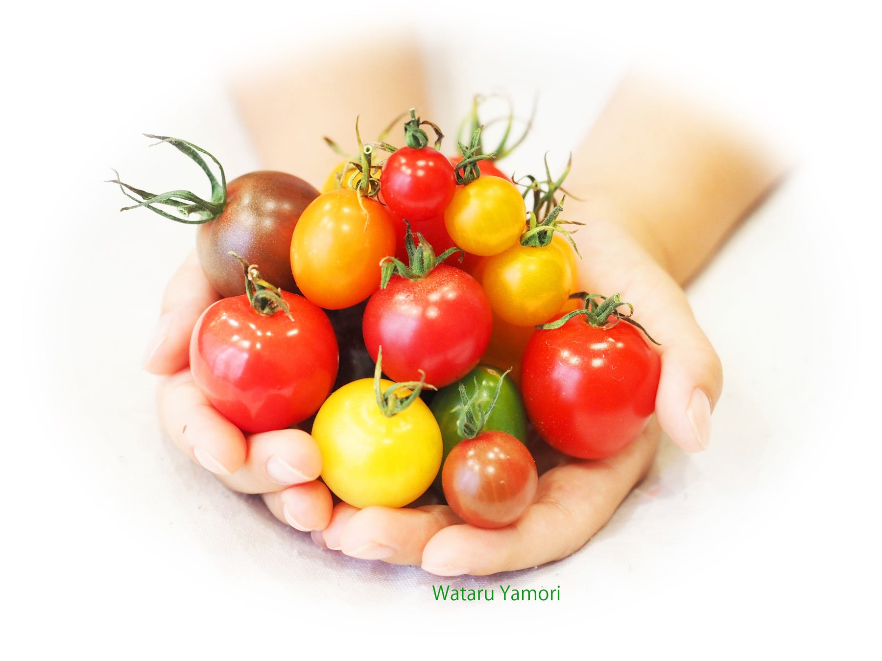 【多摩六都科学館】親子で学ぶ！「東京大学の研究、のぞいてみた！ LEDでつくる未来のトマト」開催