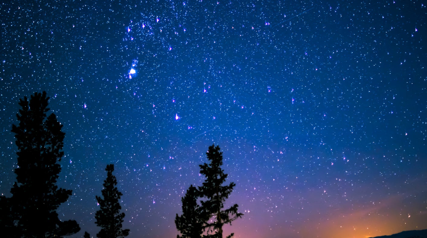 フェリシモ「猫部(TM)」×ROKKO森の音ミュージアム 「猫とこたつのあったかフェア」開催 2025年12月26日(金)~2026年3月13日(金)