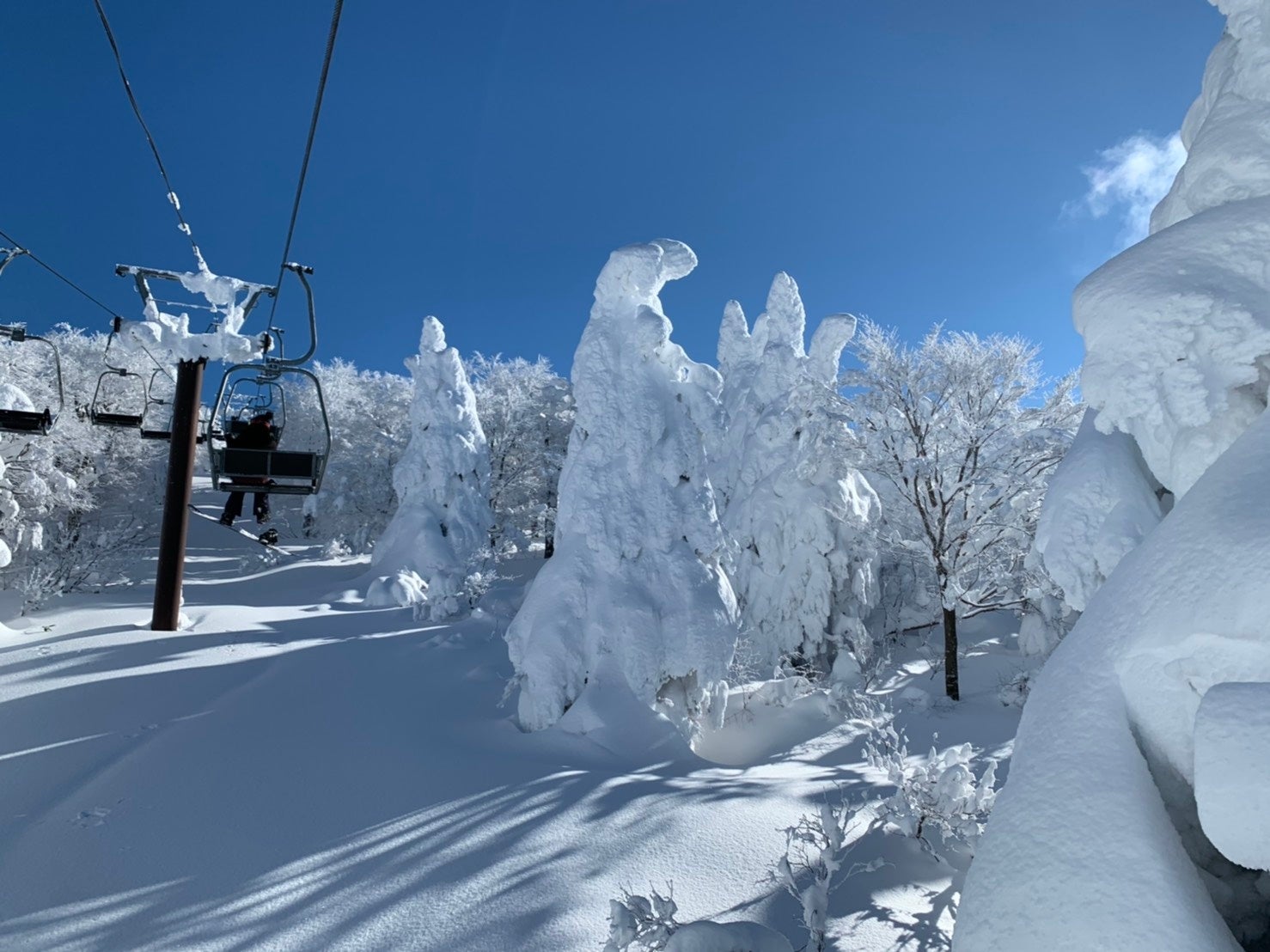 相模大野ステーションスクエア 開業29周年記念『ステスク感謝FESTIVAL』に「ニューブロックパーク」が初登場！