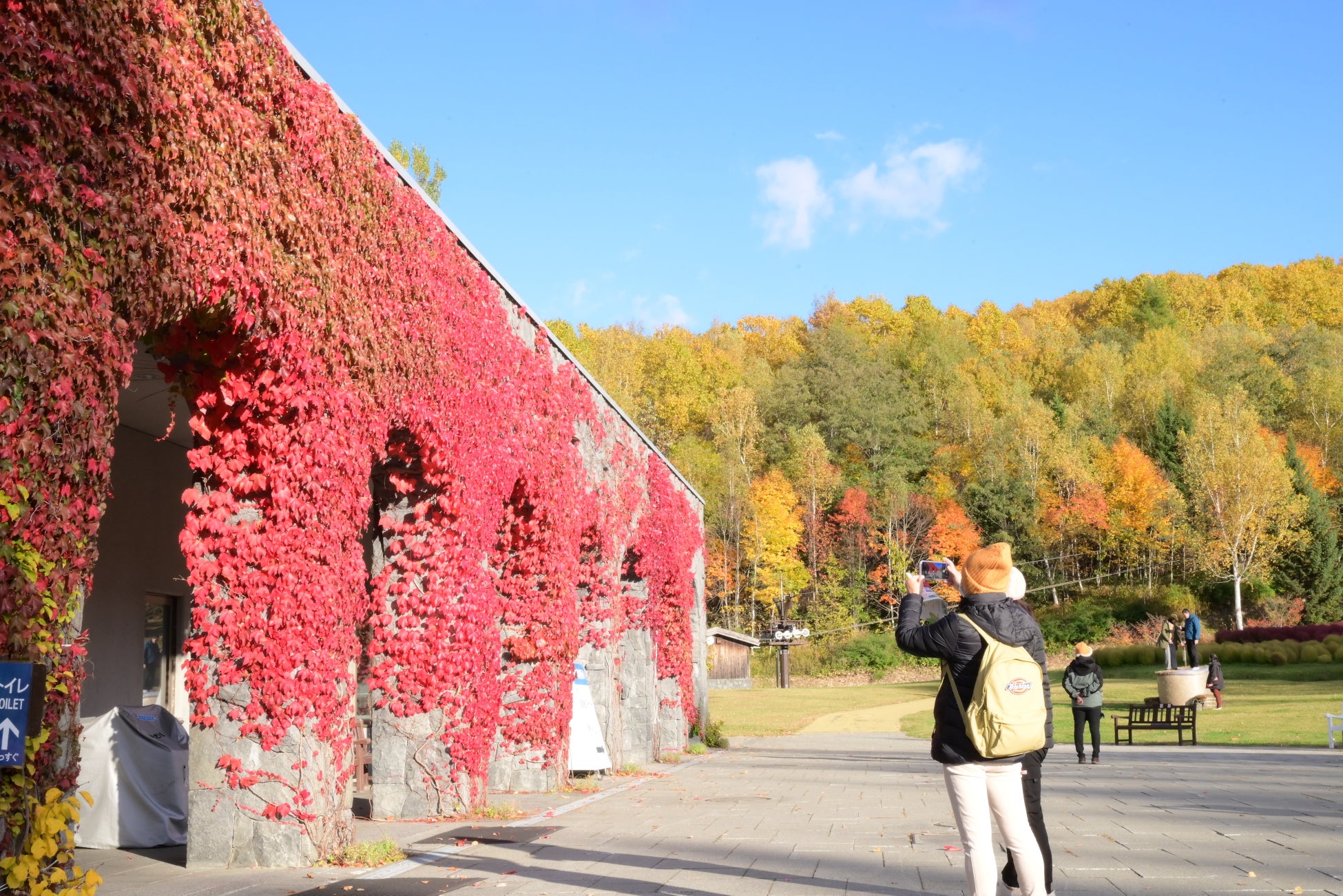 『MIDLAND CHRISTMAS 2025』開催！