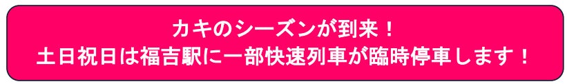【グランドプリンスホテル新高輪】夜の水族館を貸し切り海の生きものたちを“ふたりじめ” 1日1組限定でおふたりの特別なクリスマスをお祝いする宿泊プランをお届け