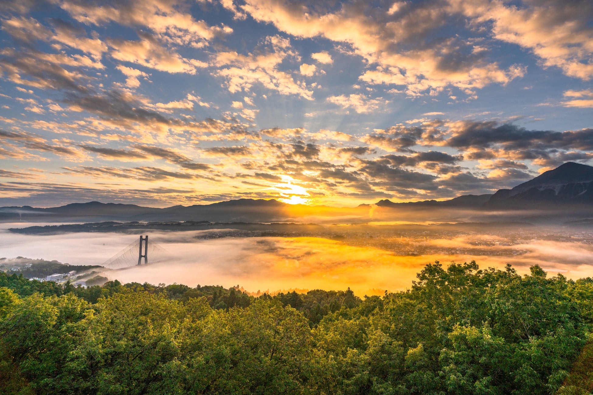 【びわ湖バレイ】これから見頃!新絶景スポットも登場!2025年紅葉シーズン到来!