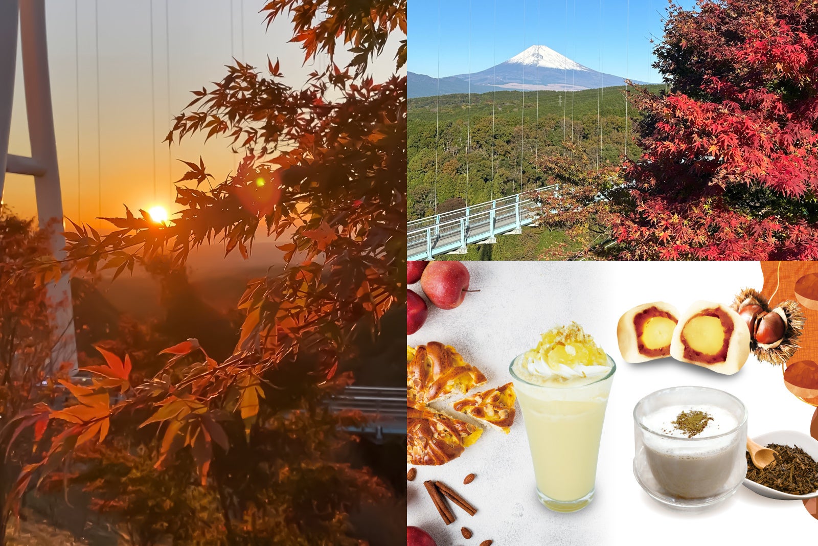 東京から一番近い雲海、ピークは11月　休暇村奥武蔵に泊まって、早朝は雲海観賞へ！　「北海道×埼玉 Wグルメフェア」1泊夕食付プラン11月2日より販売開始