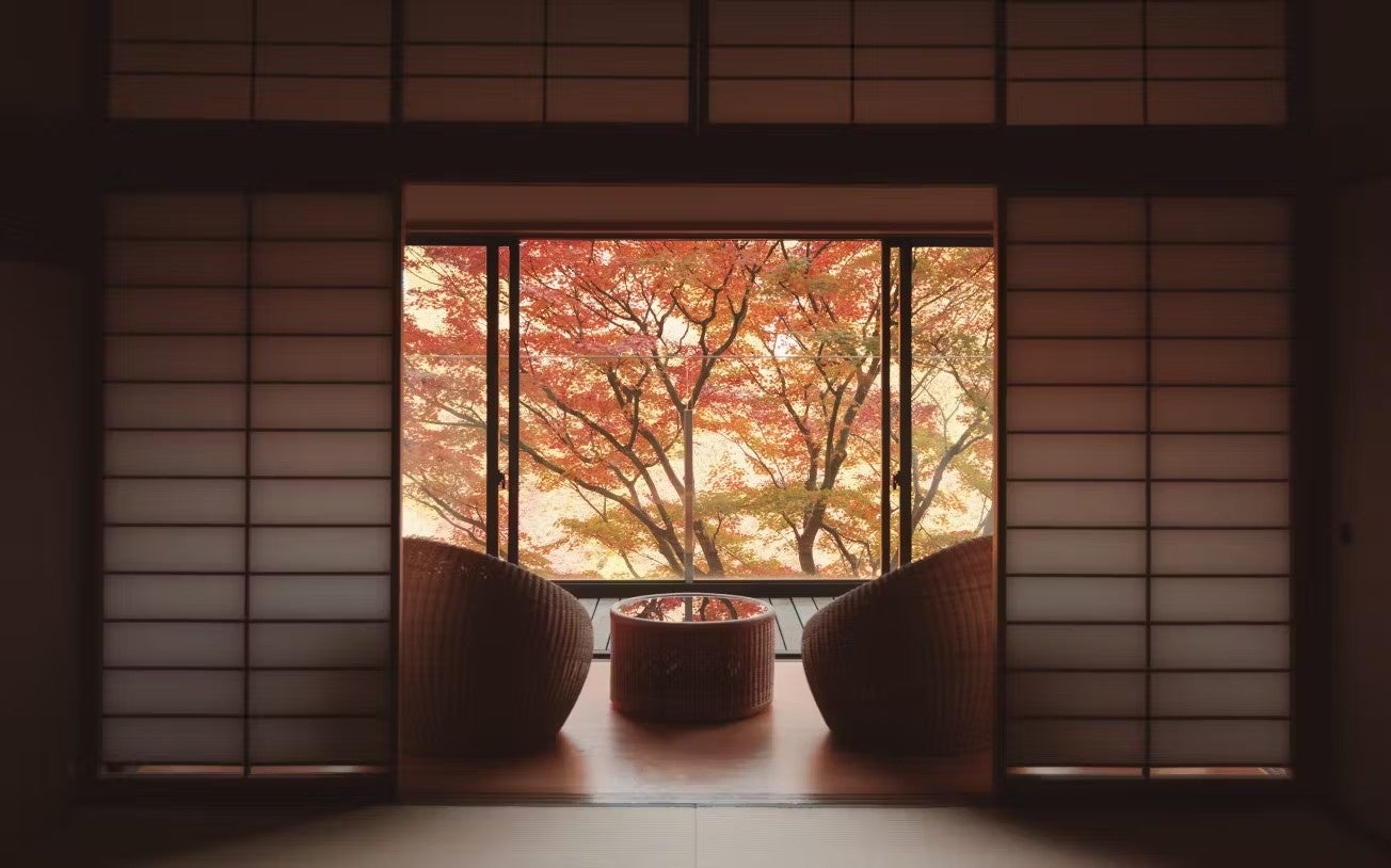 ―今年の秋、大洗の夜が魔法に変わる！3日間の特別なイベントー　光の幻想空間と食を体験できる『Night Park OARAI 2025』開催