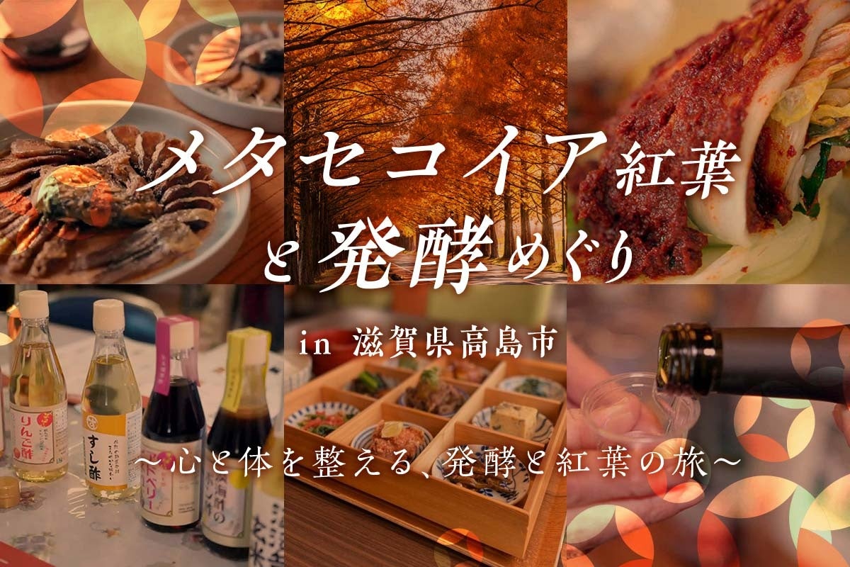 【1日150名限定】京都紅葉隠れスポット　嵐山　鹿王院夜の特別拝観２０２５