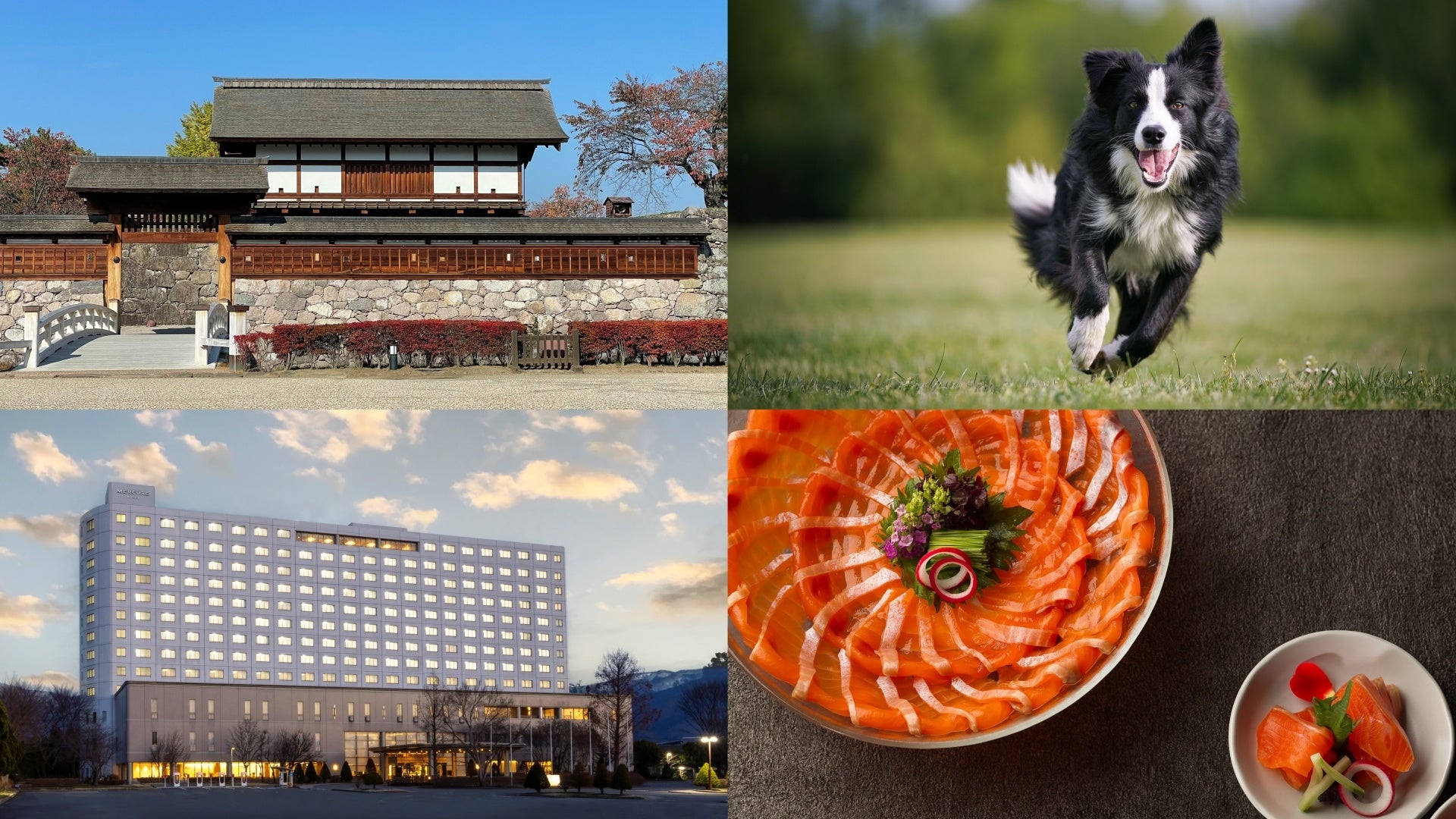 【中伊豆ワイナリーヒルズ】今年のぶどう収穫と仕込み、そのぶどうで造った最初のワイン「伊豆ヌーヴォー発売」のお知らせ