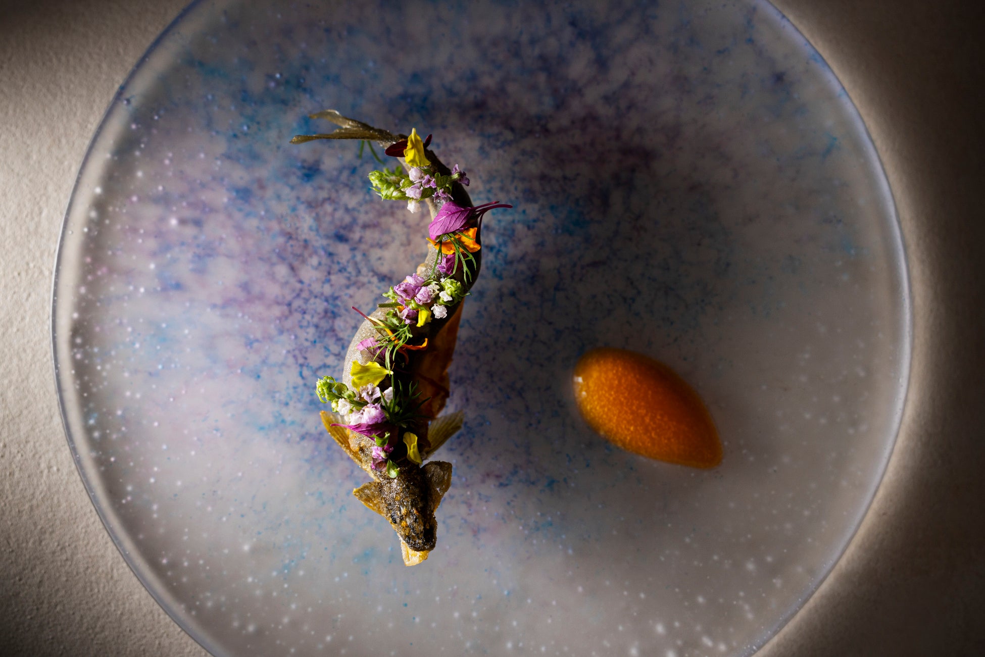 【冷凍マグロの水揚量“日本一”の静岡市清水港】無料のマグロ振る舞いや解体ショーなどマグロイベントの祭典「清水港マグロまつり2025」が11月8日(土)・9日(日)にて開催