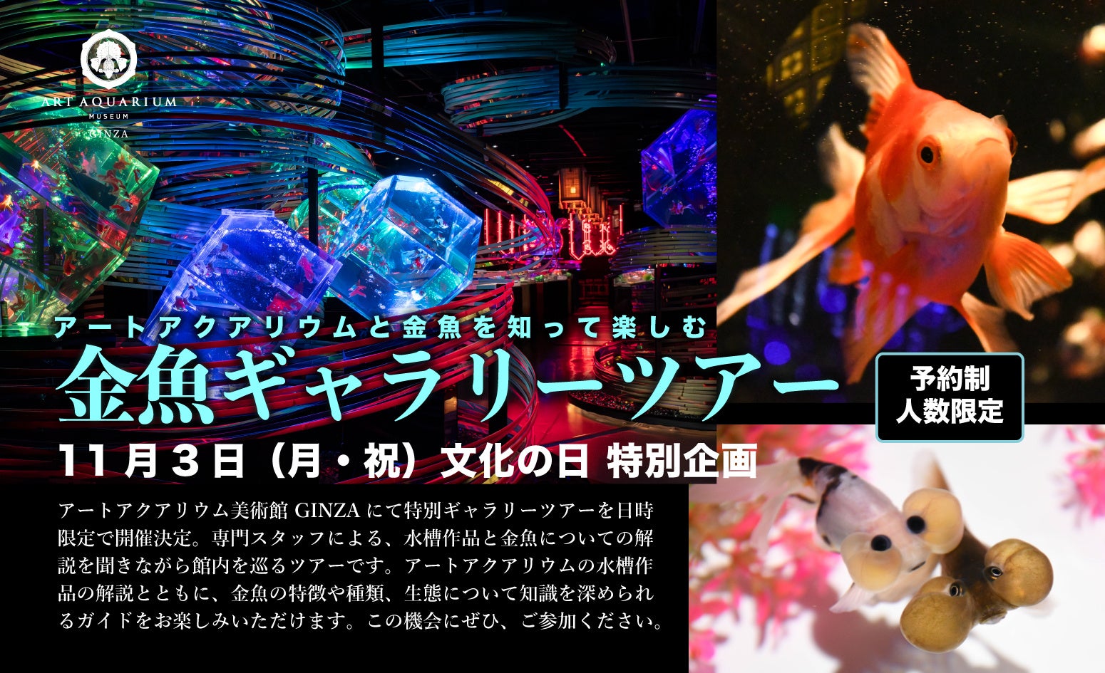 11月3日文化の日 特別企画 アートアクアリウム美術館 ギャラリーツアー催行