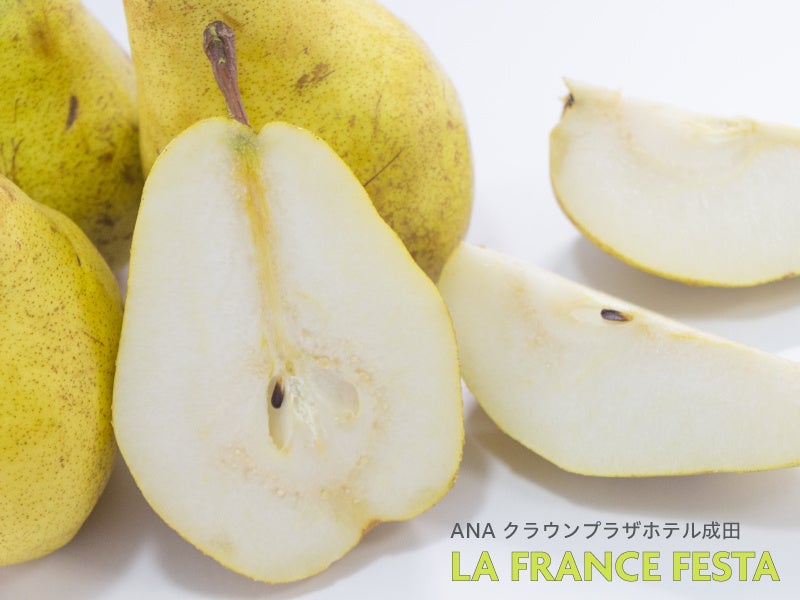 「ヒルトン沖縄宮古島リゾート」第32回 World Travel Award「Japan’s Leading Resort 2025」受賞