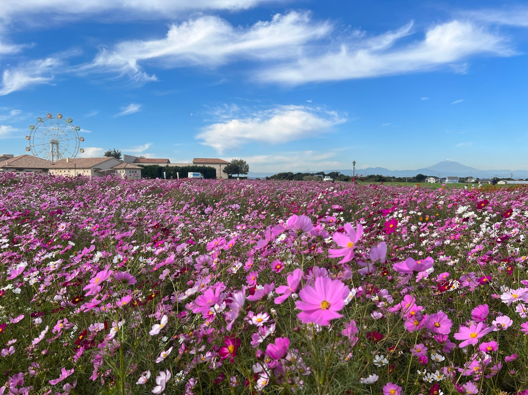 「OMO by 星野リゾート」全16施設で夜を満喫するイベント「ローカルリズムナイト」開催