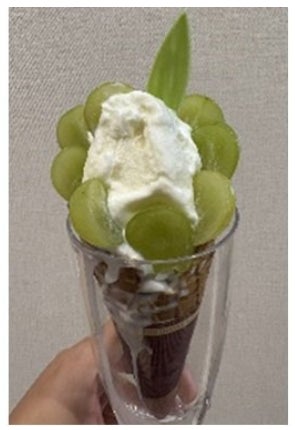 my routeでお得なチケット再び！「みやざきマルっと1Dayフリーパス」第3期を10月24日から販売開始！宮崎市内のバス・鉄道が、大人800円、小児400円で1日乗り放題！