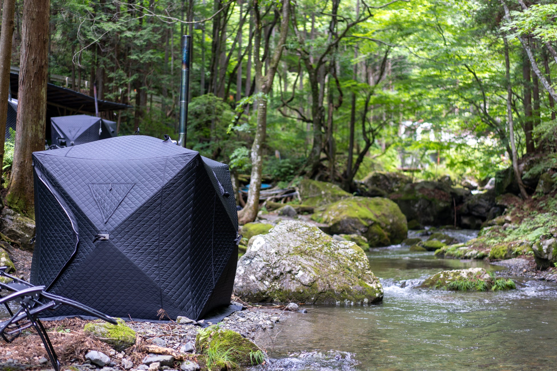コスモス見頃【国営海の中道海浜公園】