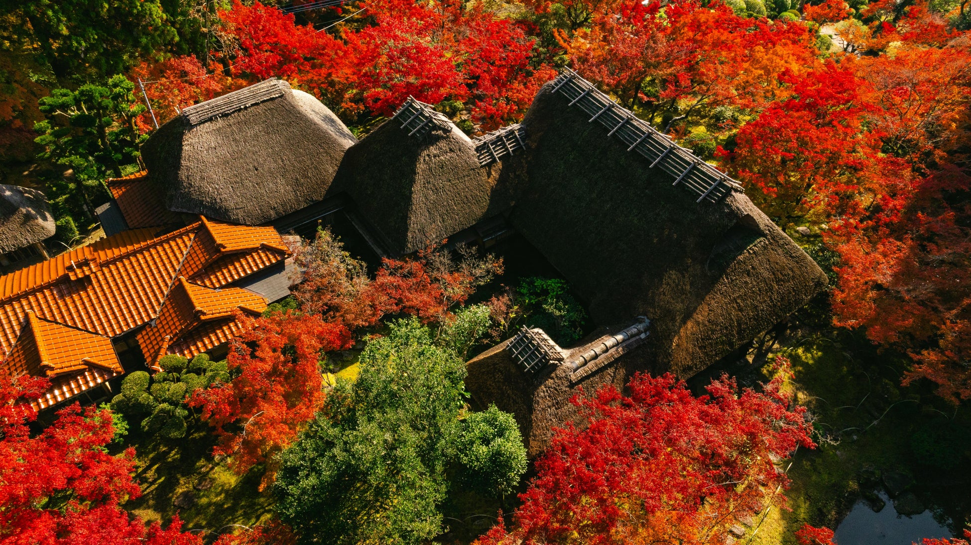 アソビュー!、抽選で140組280名に当たる「横浜・八景島シーパラダイス<「アクアリゾーツパス」ペアチケット>プレゼントキャンペーン」を2025年10月24日(金)より開始!