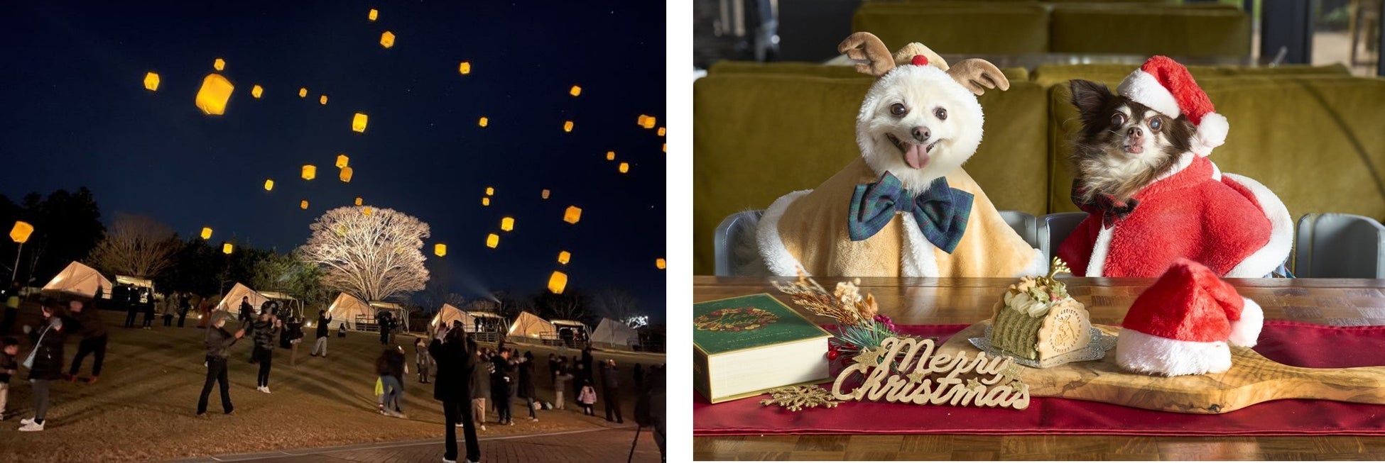 新潟県魚沼市の飲食店Cafe & Bar LEALEAは秋の味覚♪魚沼市産サツマイモを使ったコラボメニューを開発しました!