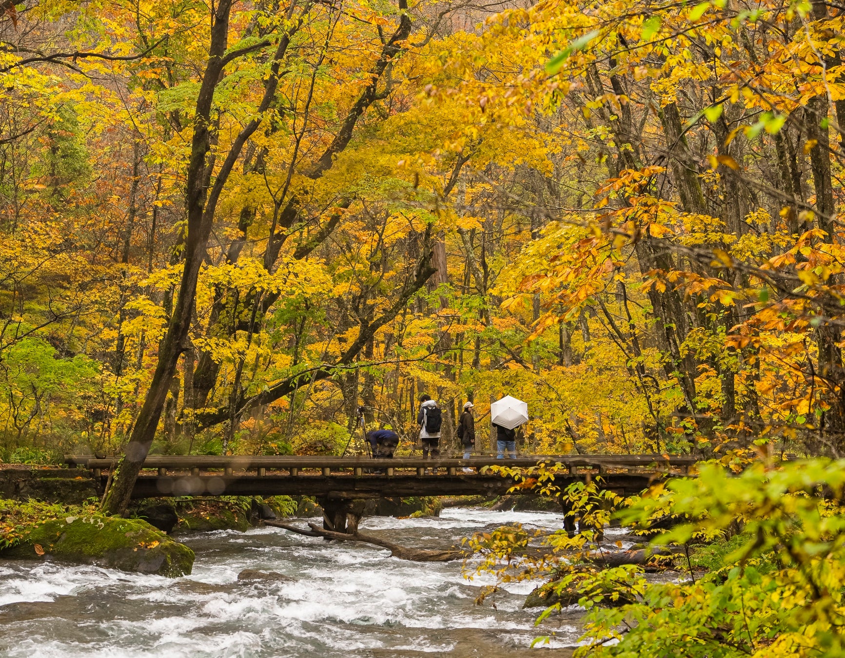 【ウェスティンホテル東京】光あふれる空間で随時20種類以上のデザートに満たされる”苺尽くし“の4ヶ月「ストロベリーデザートブッフェ」を開催