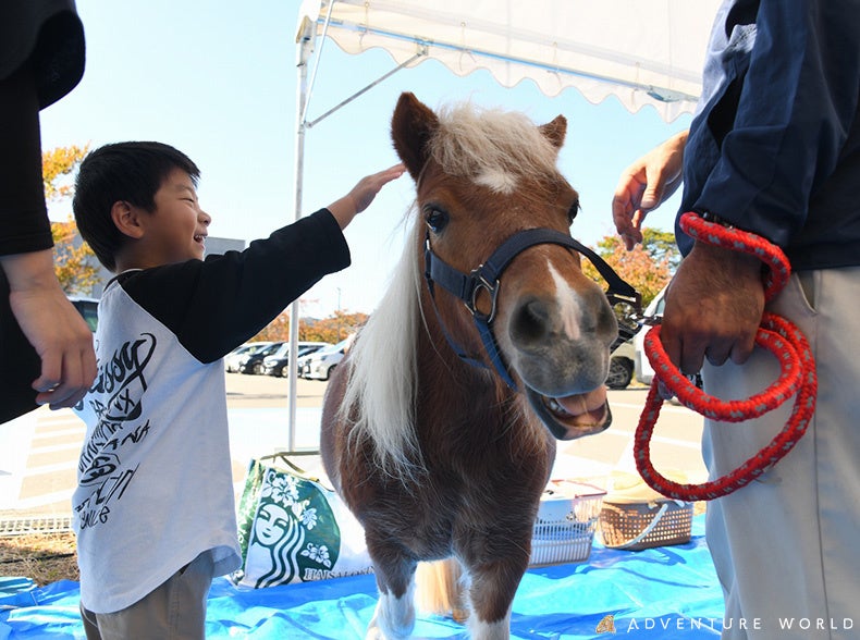 “ありがとう”からはじまる、人と動物の未来へ 和歌山県馬事畜産振興協議会・公益社団法人和歌山県獣医師会主催 「２０２５動物感謝デーinわかやま」に協賛およびブース出展します