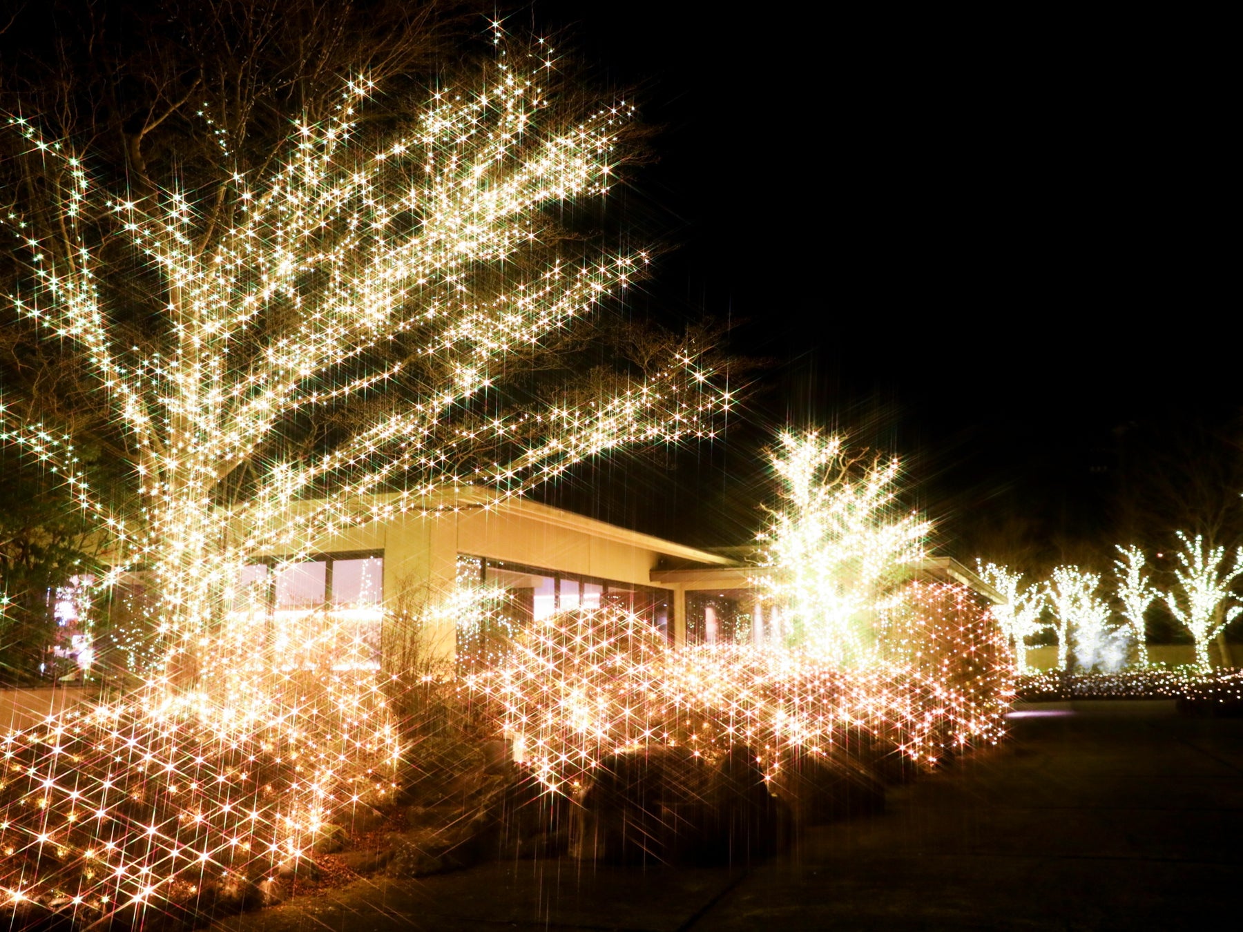 大道芸博2025〜TOKYO stage again〜 東京ふたたび・11月開催決定‼︎ @東京・練馬城址公園