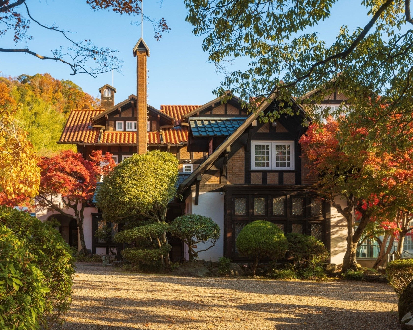 |野口観光グループ|【どうみん限定】感動をありがとう!北海道日本ハムファイターズ特別プランご予約承り中