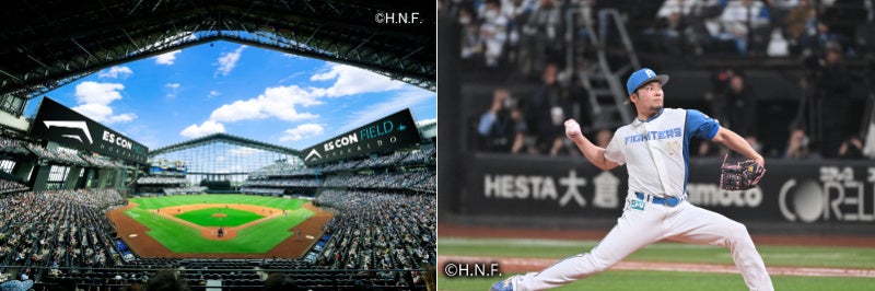 FDA 新路線『福岡=仙台』『福岡=花巻』線の運航開始について