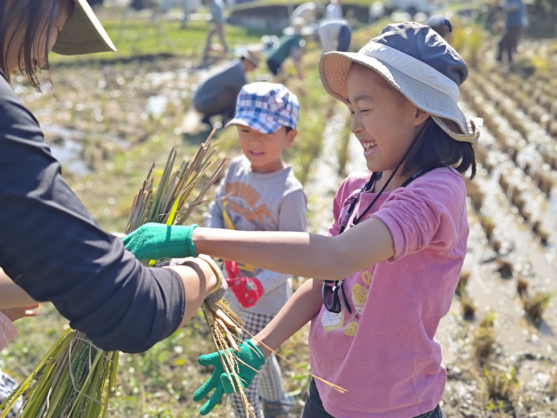 【前橋文学館】三浦雅士氏講演会「吉本隆明、澁澤龍彦、大岡信ー朔太郎、賢治、中也の後に」を開催します