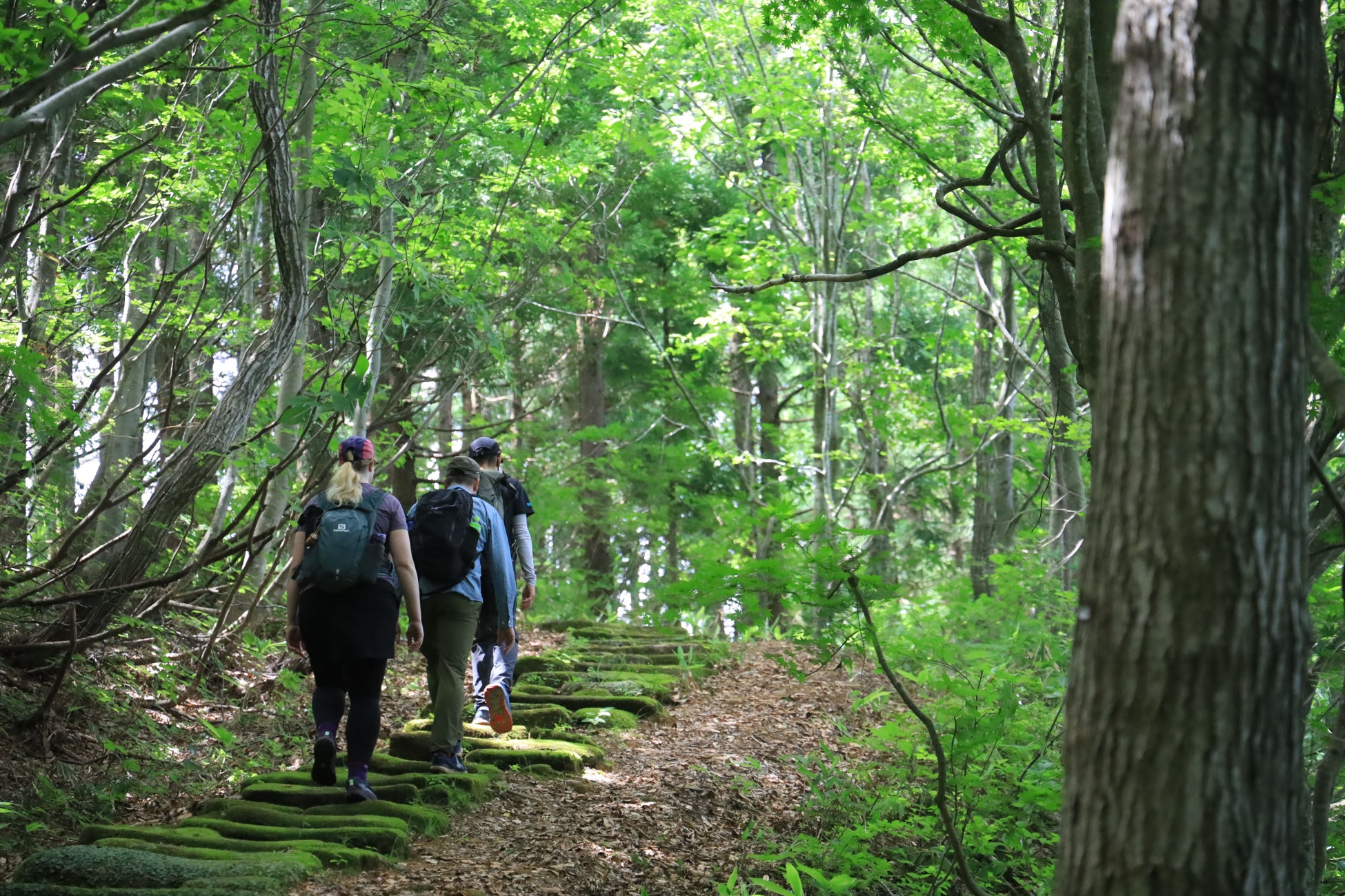 介護服に「再帰性反射可変QRコード」装着して、南海トラフ大地震や迷子時にレーザー捜索可能！