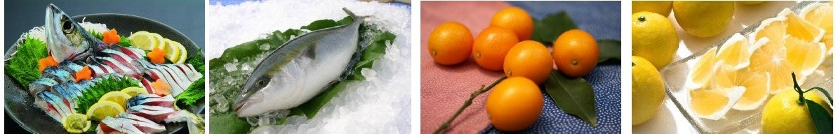 2025最新版秋冬の味！「宮崎グルメ8選！」宮崎県の”てげうめー！秋冬グルメ”をご紹介！