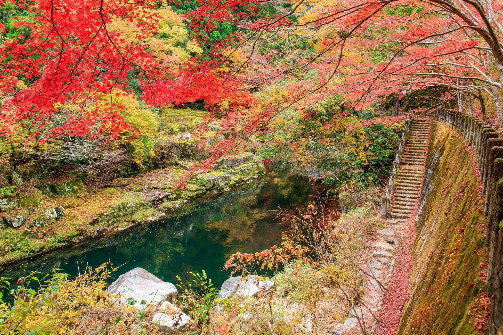 秋に行きたい岡山県の旅「温泉×紅葉スポット」。西日本有数の温泉地「美作三湯」で、紅葉の“渓谷美”や“ライトアップ”など昼・夜で堪能！