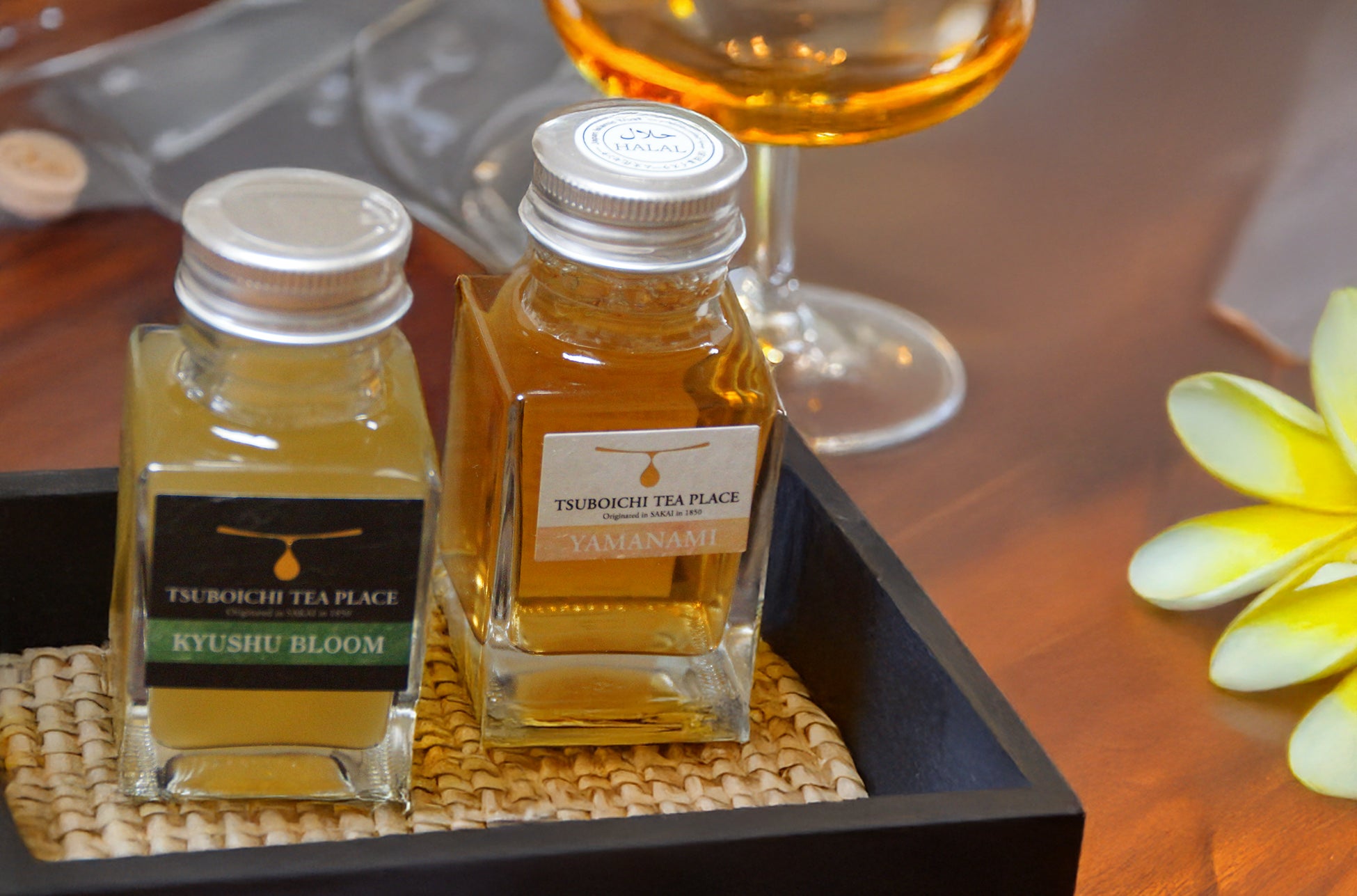 広島もとまち水族館を何度でも楽しめる「年間パスポート・3か月パスポート」販売開始!