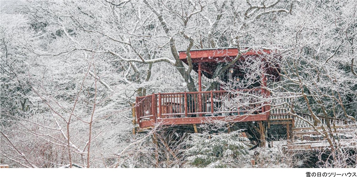 愛知・南知多の海辺に“日本最大級の牡蠣小屋”誕生。潮風と鉄板が奏でる、新スタイルの“海辺のごちそう時間”。ウッドデザインパーク野間が11月15日、ついにグランドオープン
