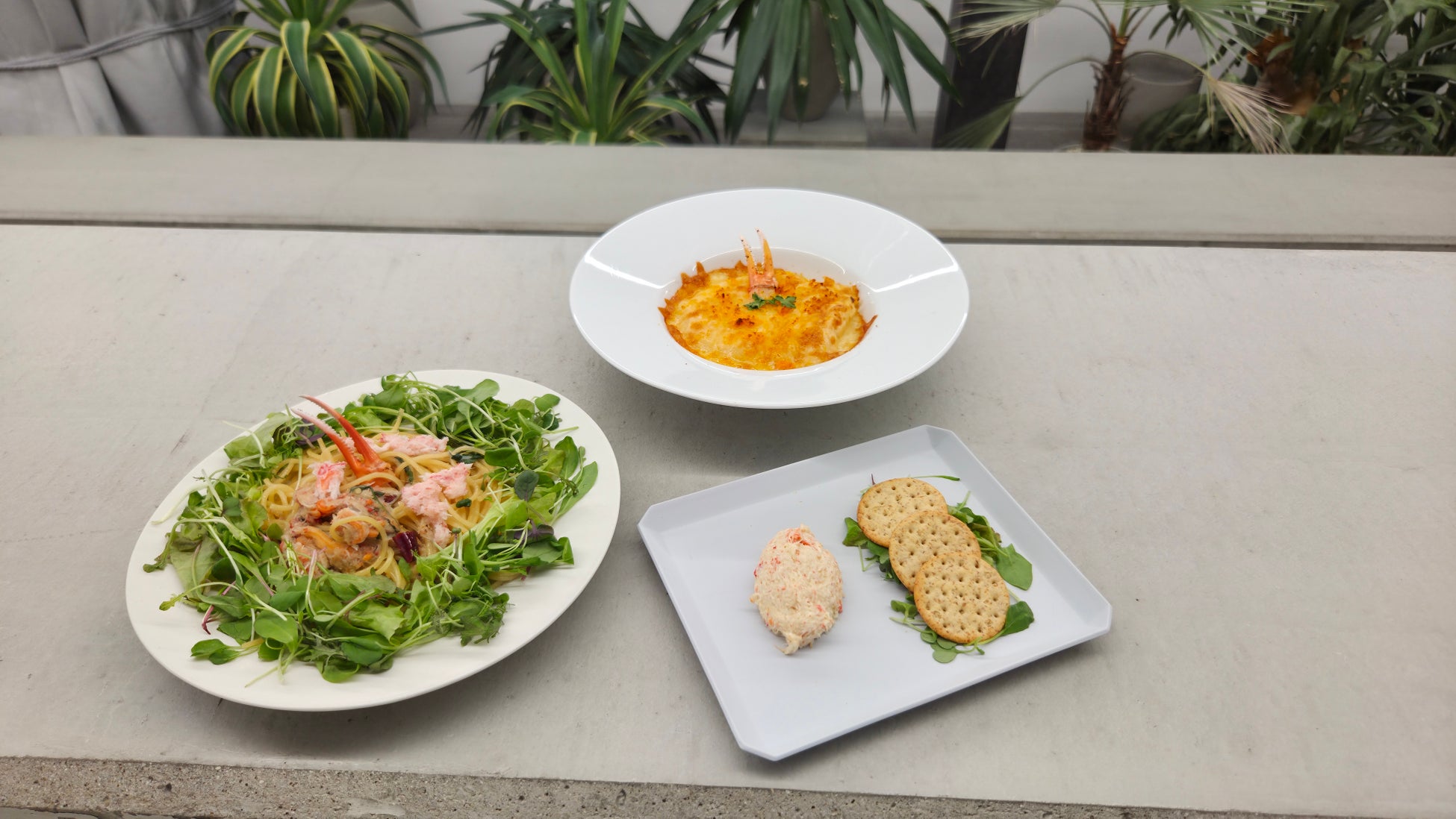 海外インフルエンサーマッチングの「PEPPER LIKES」、事業者へのインバウンド・アウトバウンド支援を本格化!