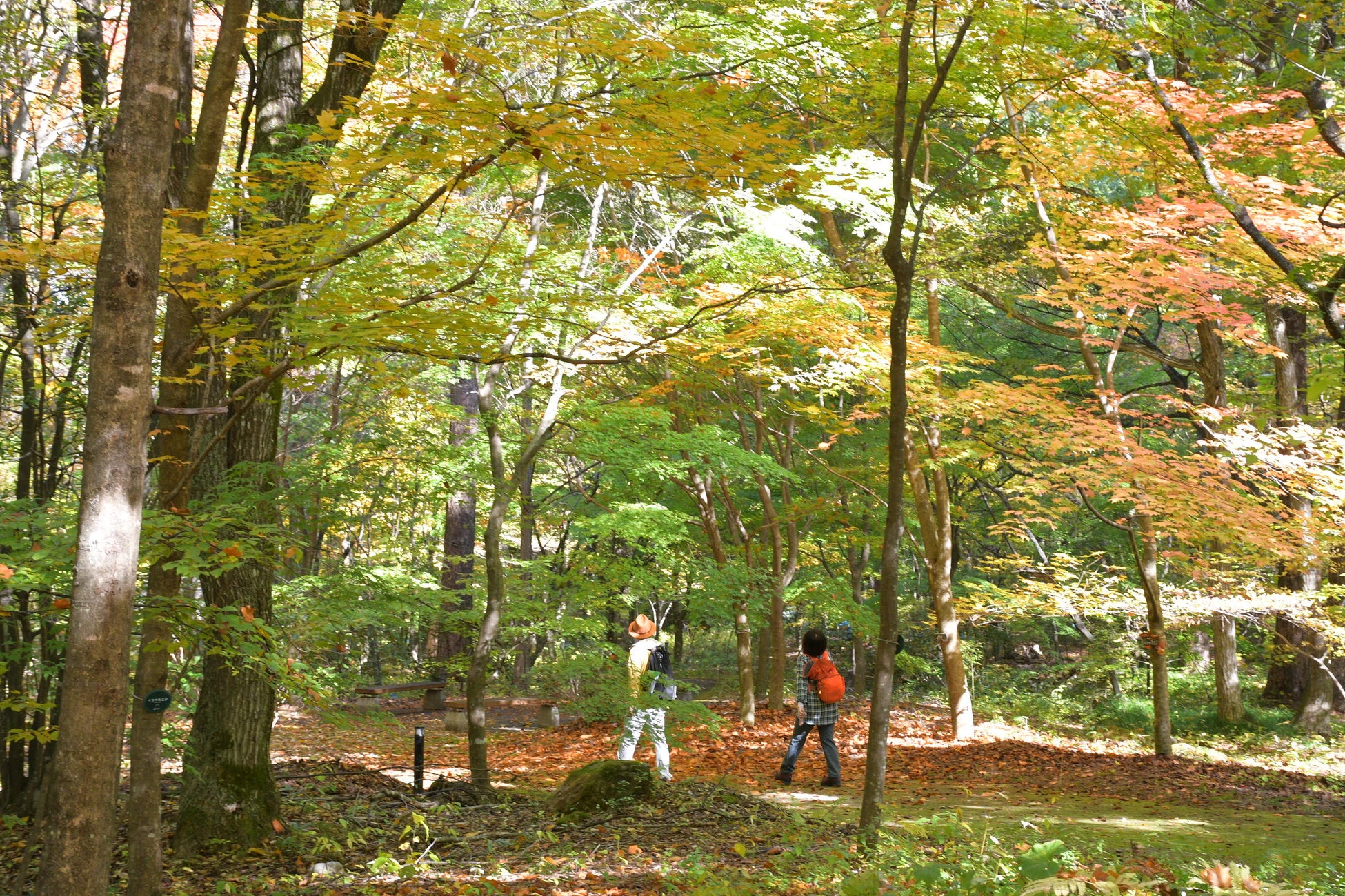 『クレヨンしんちゃん』の謎解きイベントがマリンワールド海の中道にて本日より開催！
