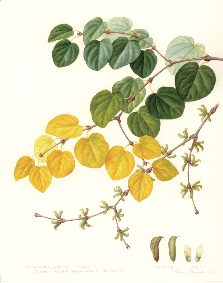 愛犬と過ごせるプライベート空間! アパホテル〈高松空港〉にコンテナ型「コテージルーム」と 屋内ドッグランが新設オープン