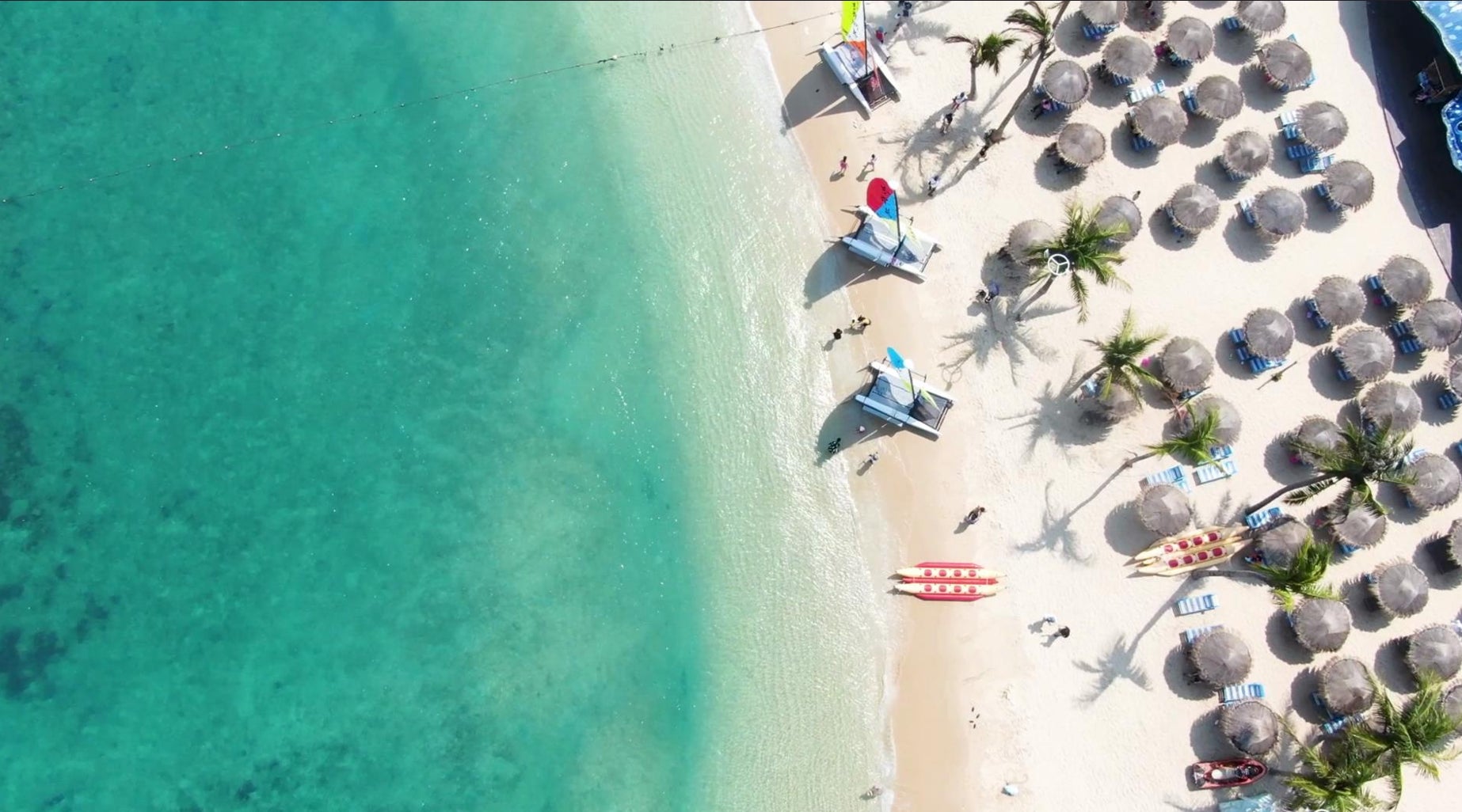 【期間限定】ピスタチオスイーツ専門店「PISTA & TOKYO」ジェイアール京都伊勢丹にて11月4日より出店。緑輝くピスタチオの魅力を、専門店より京都にお届けいたします。