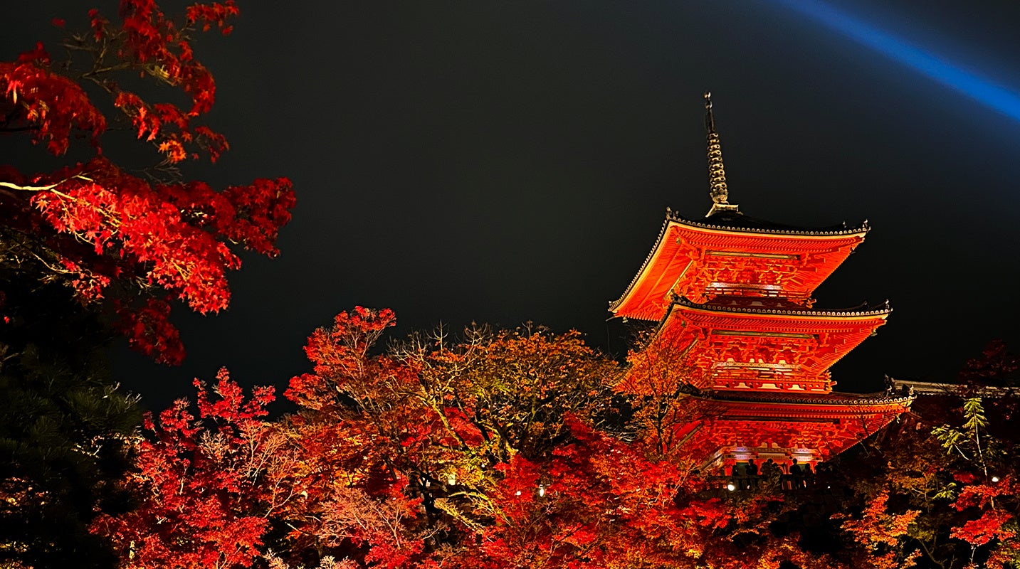 愛犬と一緒に“湯めぐりスタンプラリー”を愉しもう!熱海や箱根含む7施設にてキャンペーン開催|2025年11月17日~