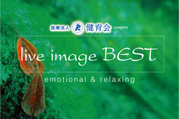 第11回『酒屋角打ちフェス』 開催のご案内